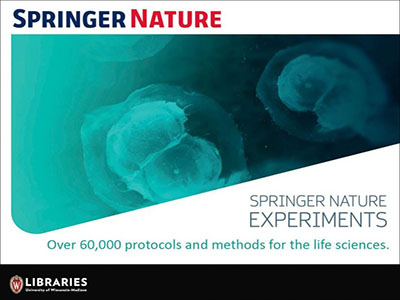Springer Nature Experiments